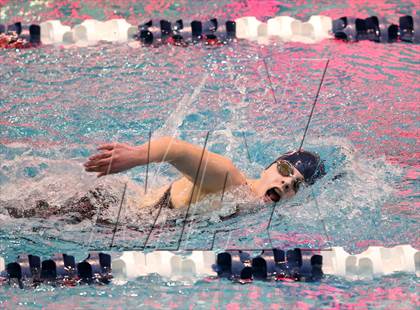 Thumbnail 1 in CHSAA 4A State Swimming Championships photogallery.