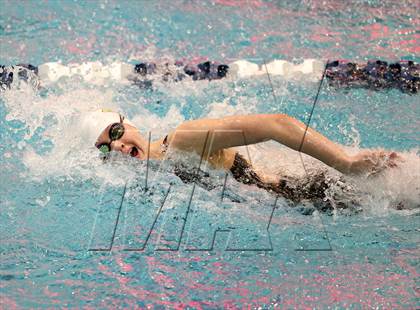 Thumbnail 3 in CHSAA 4A State Swimming Championships photogallery.