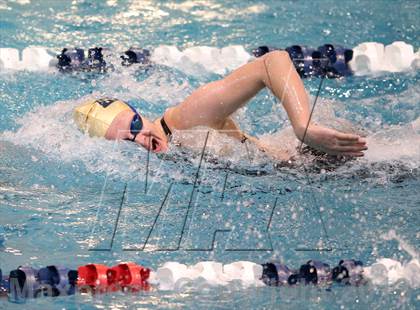Thumbnail 1 in CHSAA 4A State Swimming Championships photogallery.
