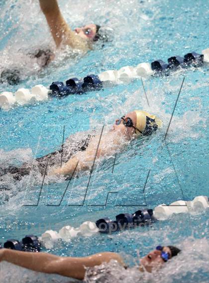 Thumbnail 1 in CHSAA 4A State Swimming Championships photogallery.