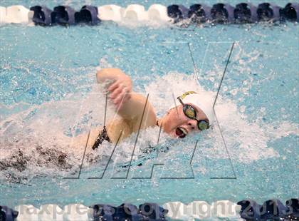 Thumbnail 3 in CHSAA 4A State Swimming Championships photogallery.