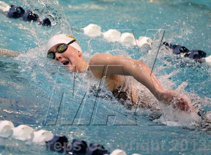 Thumbnail 3 in CHSAA 4A State Swimming Championships photogallery.