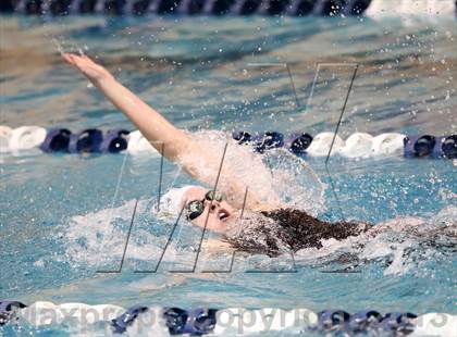 Thumbnail 1 in CHSAA 4A State Swimming Championships photogallery.