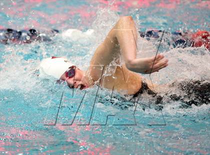 Thumbnail 3 in CHSAA 4A State Swimming Championships photogallery.