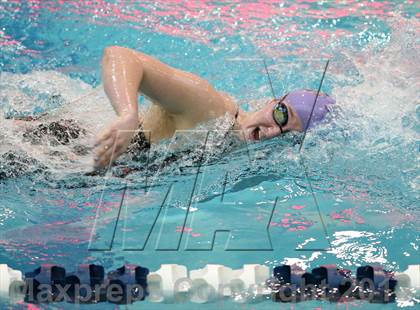 Thumbnail 2 in CHSAA 4A State Swimming Championships photogallery.