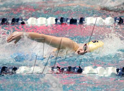 Thumbnail 3 in CHSAA 4A State Swimming Championships photogallery.