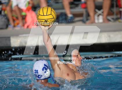 Thumbnail 3 in Ponderosa vs. Rocklin photogallery.