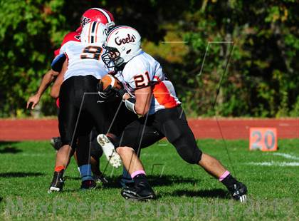 Thumbnail 2 in Shelton @ Wilbur Cross photogallery.