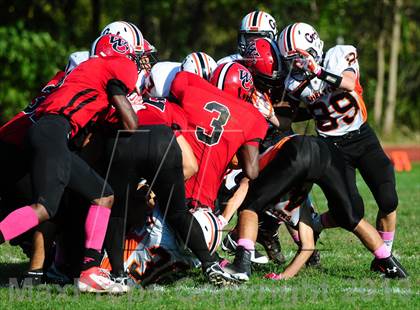 Thumbnail 3 in Shelton @ Wilbur Cross photogallery.