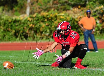 Thumbnail 3 in Shelton @ Wilbur Cross photogallery.