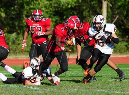 Thumbnail 3 in Shelton @ Wilbur Cross photogallery.