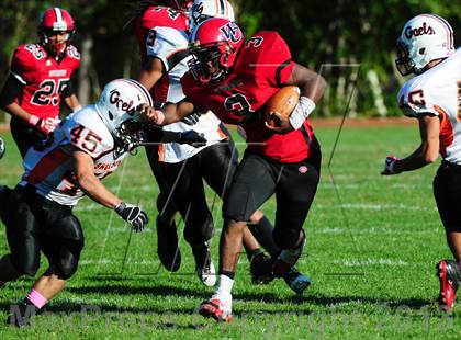 Thumbnail 2 in Shelton @ Wilbur Cross photogallery.