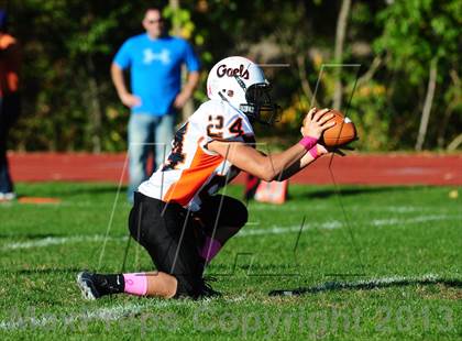 Thumbnail 3 in Shelton @ Wilbur Cross photogallery.
