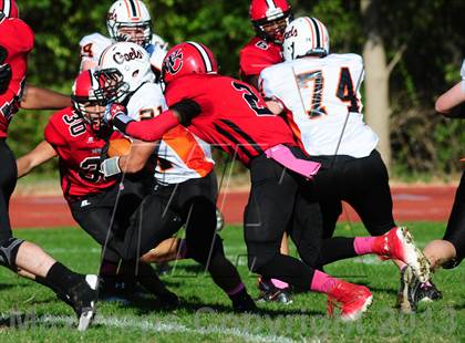 Thumbnail 3 in Shelton @ Wilbur Cross photogallery.