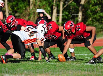 Thumbnail 1 in Shelton @ Wilbur Cross photogallery.