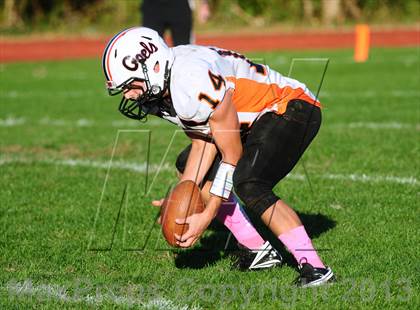 Thumbnail 3 in Shelton @ Wilbur Cross photogallery.