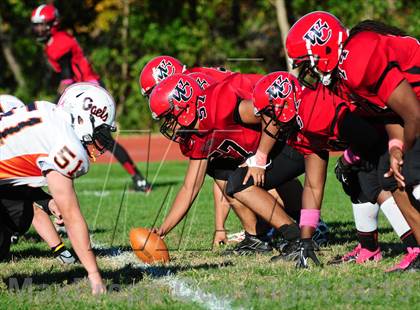 Thumbnail 1 in Shelton @ Wilbur Cross photogallery.