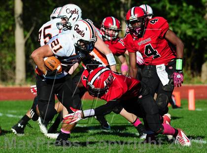 Thumbnail 2 in Shelton @ Wilbur Cross photogallery.