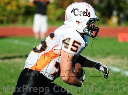 Thumbnail 1 in Shelton @ Wilbur Cross photogallery.