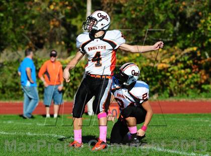 Thumbnail 1 in Shelton @ Wilbur Cross photogallery.