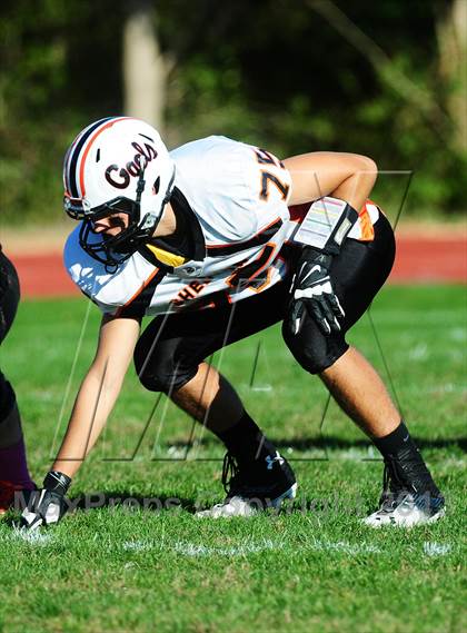 Thumbnail 3 in Shelton @ Wilbur Cross photogallery.