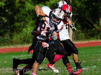 Thumbnail 1 in Shelton @ Wilbur Cross photogallery.