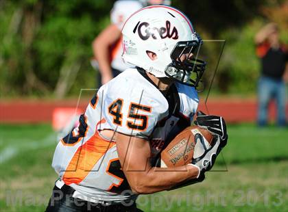 Thumbnail 1 in Shelton @ Wilbur Cross photogallery.