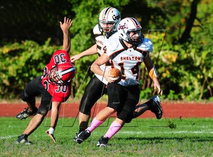 Thumbnail 1 in Shelton @ Wilbur Cross photogallery.