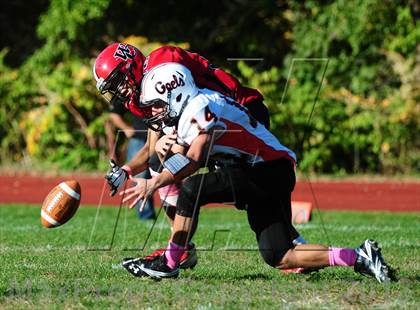 Thumbnail 1 in Shelton @ Wilbur Cross photogallery.