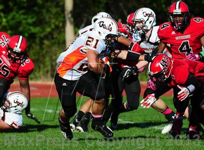 Thumbnail 1 in Shelton @ Wilbur Cross photogallery.