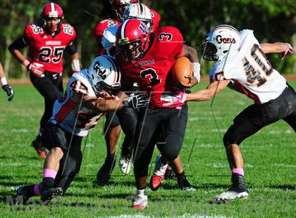 Thumbnail 3 in Shelton @ Wilbur Cross photogallery.