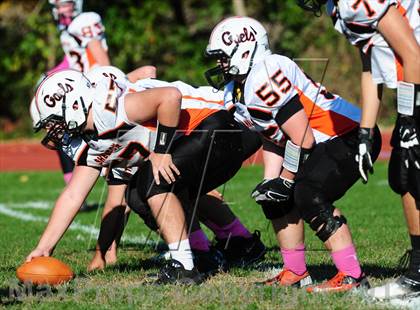 Thumbnail 1 in Shelton @ Wilbur Cross photogallery.