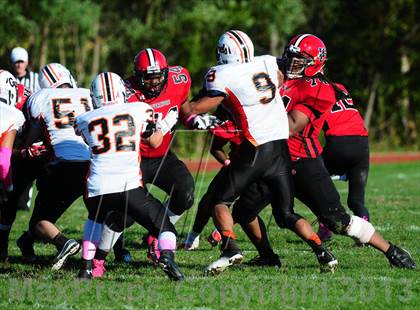 Thumbnail 1 in Shelton @ Wilbur Cross photogallery.