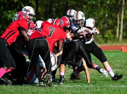 Thumbnail 2 in Shelton @ Wilbur Cross photogallery.