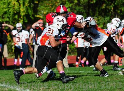 Thumbnail 2 in Shelton @ Wilbur Cross photogallery.