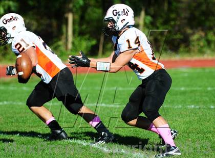 Thumbnail 2 in Shelton @ Wilbur Cross photogallery.
