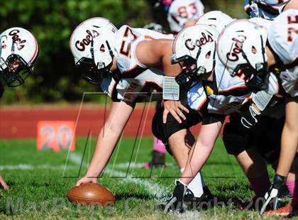 Thumbnail 3 in Shelton @ Wilbur Cross photogallery.