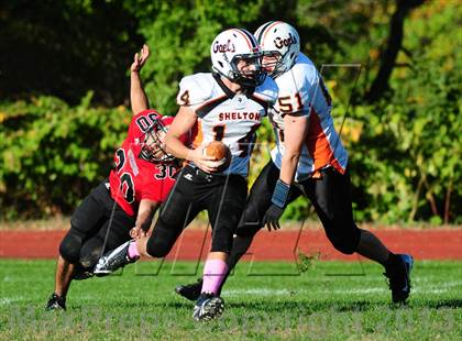 Thumbnail 3 in Shelton @ Wilbur Cross photogallery.