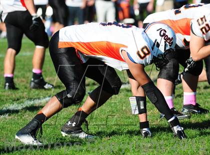 Thumbnail 1 in Shelton @ Wilbur Cross photogallery.