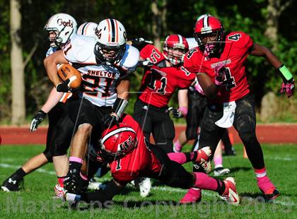 Thumbnail 3 in Shelton @ Wilbur Cross photogallery.