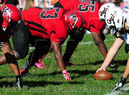 Thumbnail 1 in Shelton @ Wilbur Cross photogallery.
