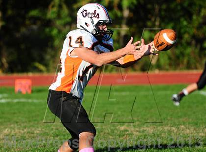 Thumbnail 2 in Shelton @ Wilbur Cross photogallery.
