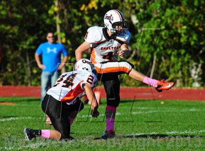 Thumbnail 2 in Shelton @ Wilbur Cross photogallery.