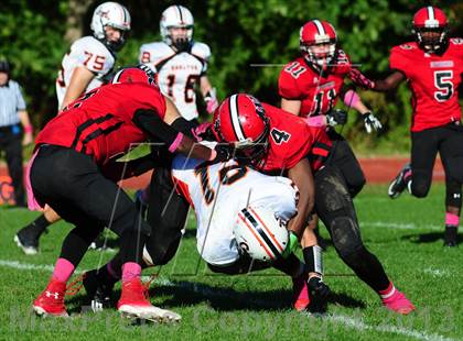 Thumbnail 1 in Shelton @ Wilbur Cross photogallery.
