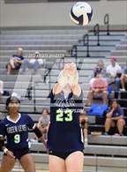 Photo from the gallery "Apex @ Green Level"