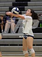 Photo from the gallery "Apex @ Green Level"