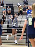 Photo from the gallery "Apex @ Green Level"