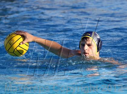 Thumbnail 3 in Bella Vista vs Napa (CIF SJS D2 Playoffs) photogallery.