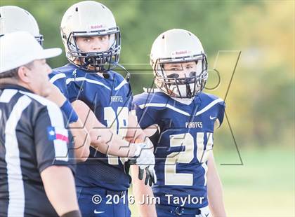 Thumbnail 3 in Cross Plains @ Perrin Whitt photogallery.