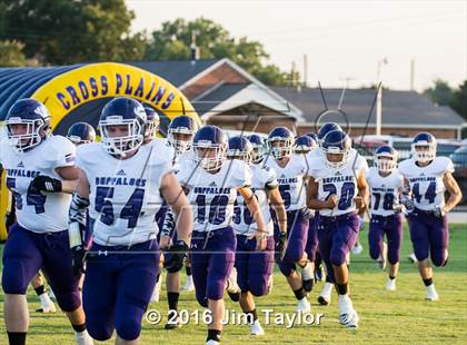 Thumbnail 3 in Cross Plains @ Perrin Whitt photogallery.